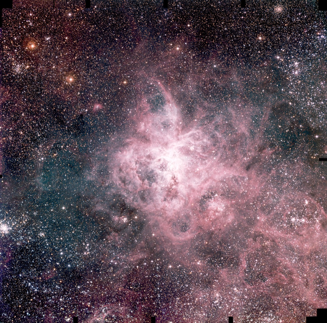 感 | 理性, 试论善恶